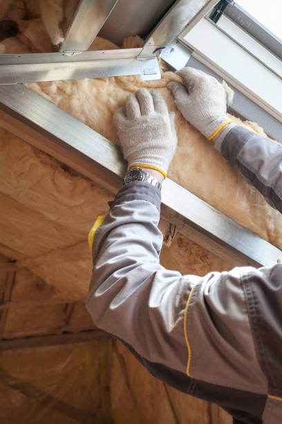 Best Insulation Maintenance and Repair in Keowee Key, SC