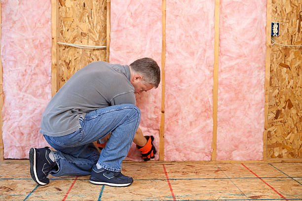 Best Cellulose Insulation in Keowee Key, SC